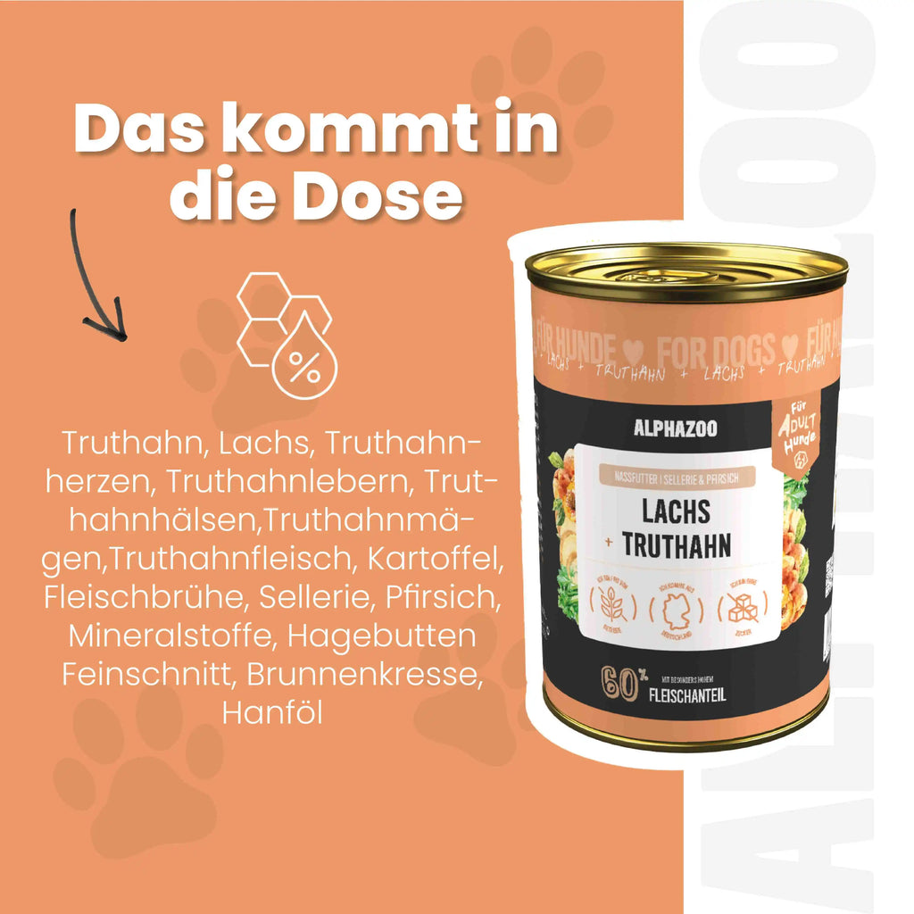 Salmon + Turkey Wet Food for Adult Dogs