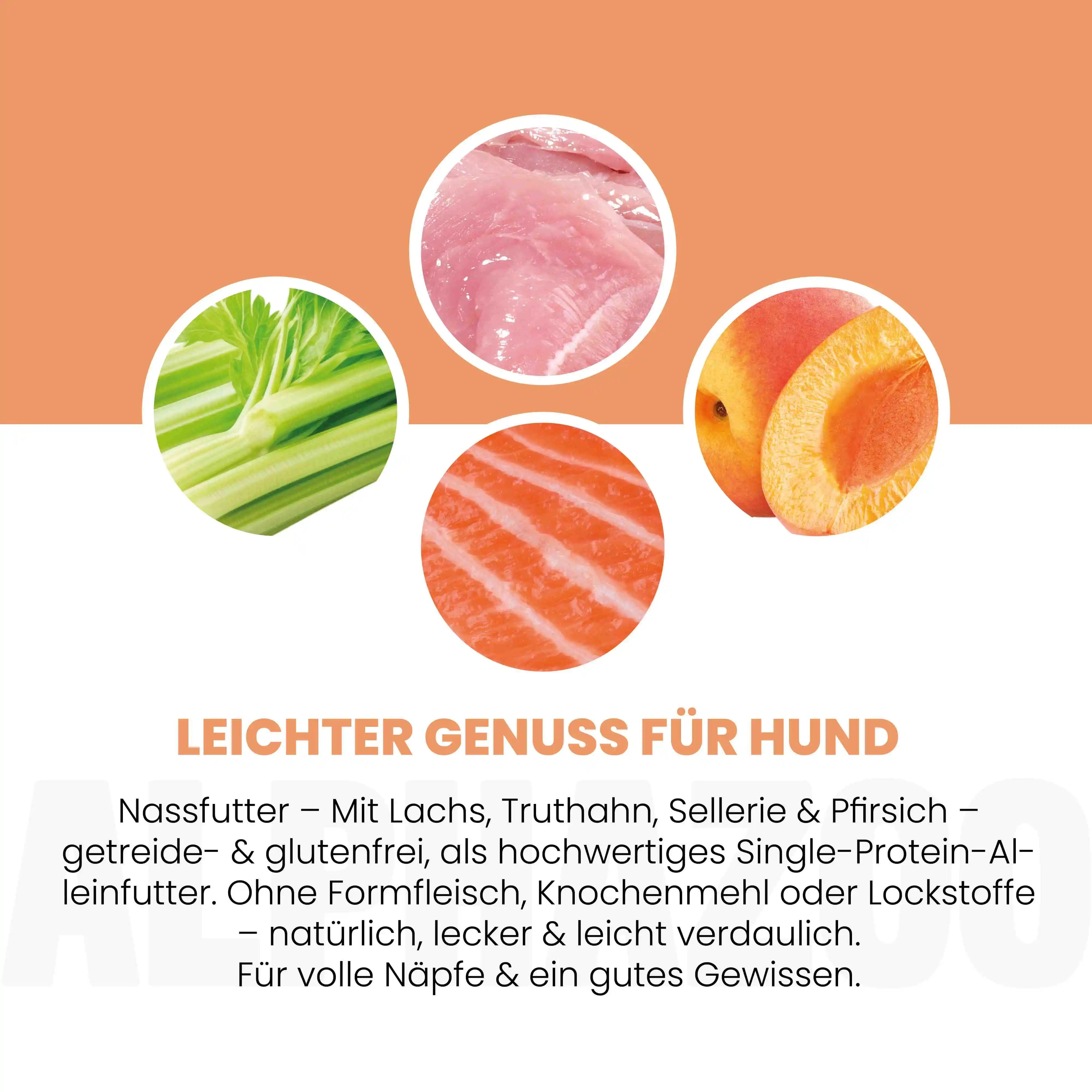 Salmon + Turkey Wet Food for Adult Dogs