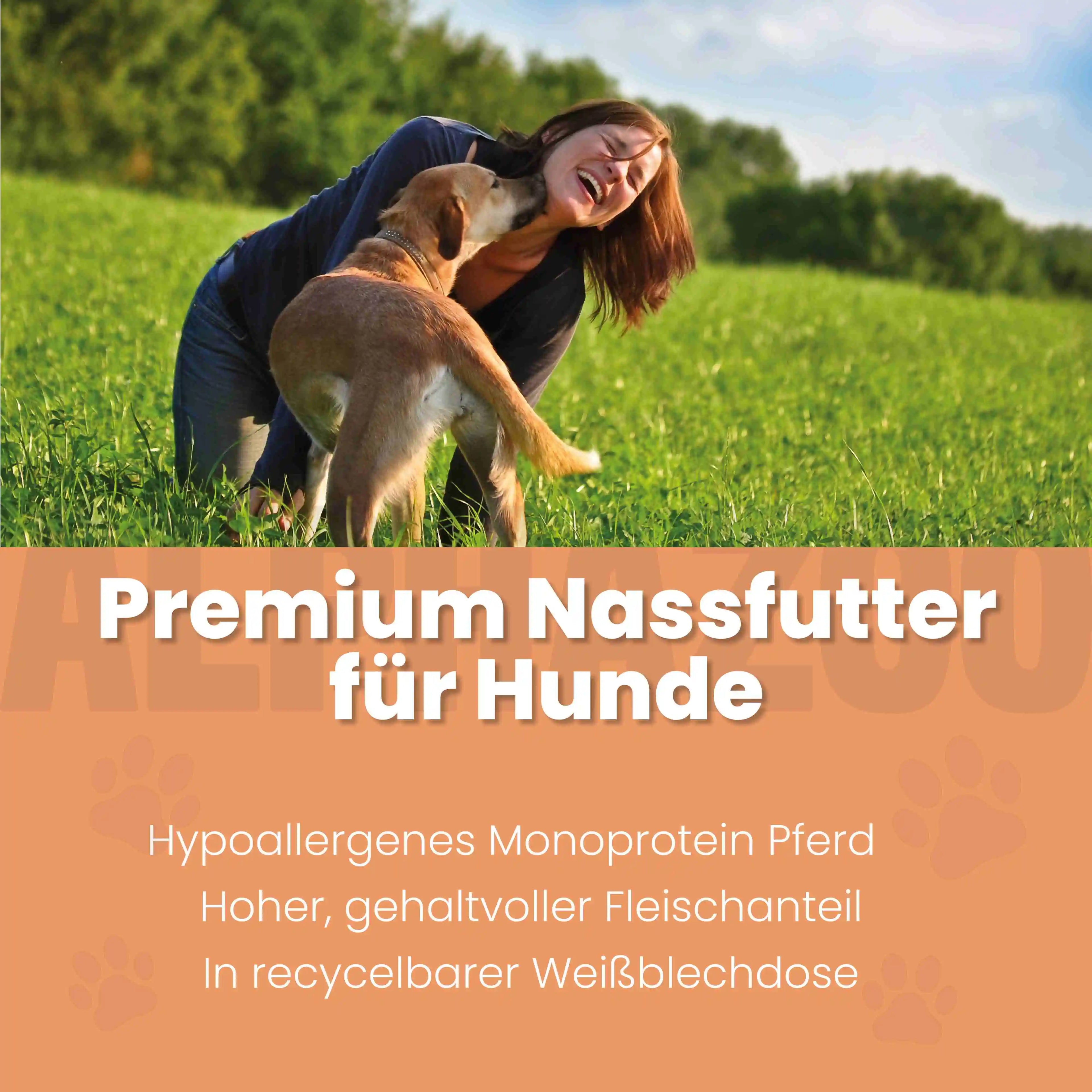 Monoprotein horse wet food for dogs