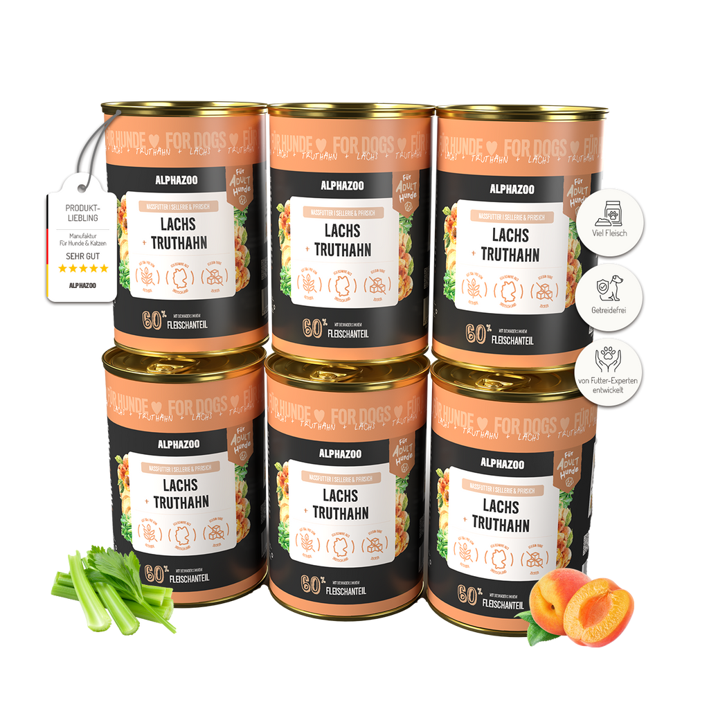 Salmon + Turkey Wet Food for Adult Dogs